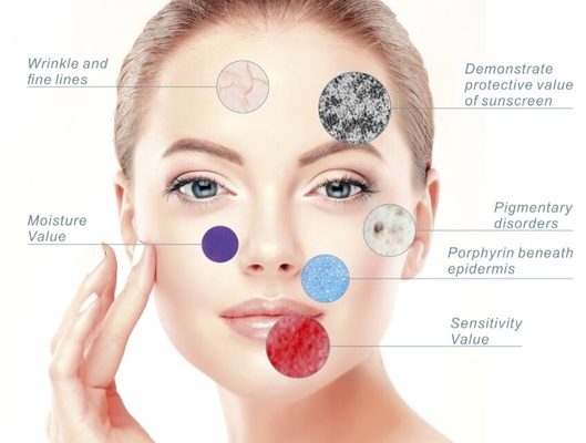 Dispositivo da dermatologia da cara da máquina do analisador da pele da aspereza de 7 línguas